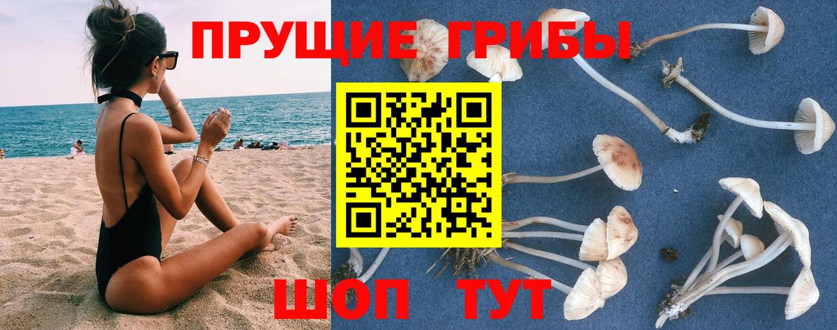 Псилоцибиновые грибы Psilocybe  Псилоцибиновые грибы Psilocybine cubensis  Фрязино  Вход с VPN 